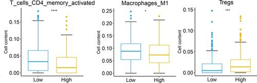 Figure 6 Evaluation of the association of RAB40C and CD4 memory-activated cells, M1-like macrophages, and Tregs infiltration level in lung squamous cell carcinoma (LUSC). *p<0.05; ***p<0.001; ****p<0.0001.