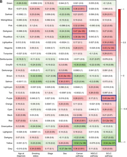 Figure 3 The correlations between network modules and patient features/cancer pathways.