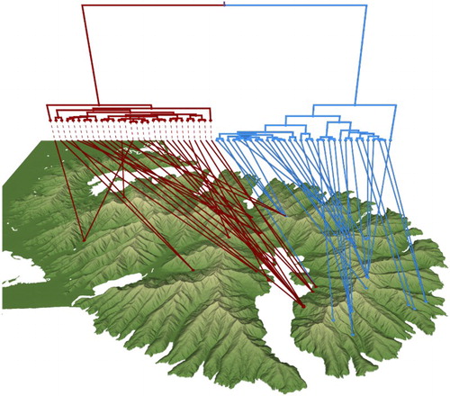 Figure 2. Geophylogeny of Megadromus guerinii CO1 using Bayesian maximum clade credibility tree with taxa nodes mapped to sampling locations on Banks Peninsula. For simplicity, the western and eastern groups are coloured dark red and light blue, respectively.