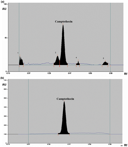 Figure 2. HPTLC profile of the (a) MeOH extract of O. mungos (52748) collected from Brymore, Thiruvananthapuram in Kerala, (b) CPT standard (0.003 μg/spot).