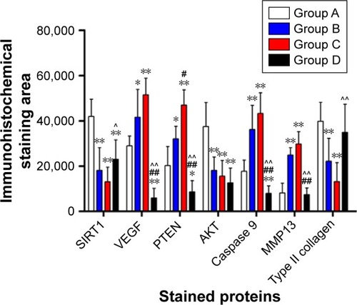 Figure 9 Immunohistochemical staining analysis of SIRT1, VEGF, PTEN, AKT, Caspase 9, MMP13, and type II collagen proteins in the cartilage.Notes:*Group A vs groups B, C, and D. #Group B vs groups C and D. ^Group C vs group D. **,##,^^P<0.01. *,#,^P<0.05. Group A: the bioactive resveratrol–PLA–gelatin porous nano-scaffold group. Group B: the blank porous PLA–gelatin nano-scaffold group. Group C: the no scaffold group. Group D: the sham group.