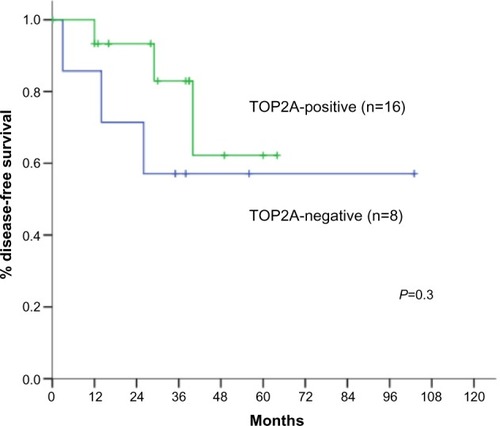 Figure 4 Disease-free survival according to TOP2A positivity.