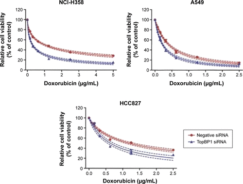 Figure S2 Effect of TopBP1 in non-small cell lung cancer cells.