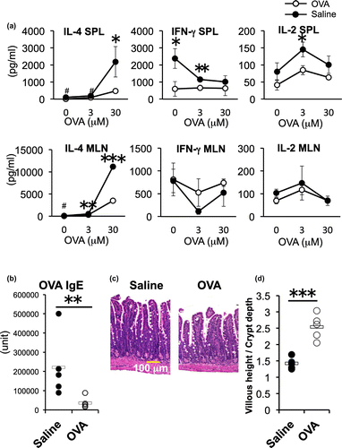 Fig. 3. Effects of oral administration of OVA on the cytokine response, IgE titer and intestinal inflammation after EW-diet-feeding.