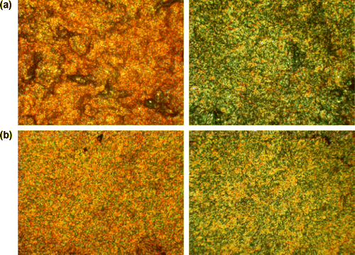 Figure 39 Photomicrographs of the optical textures of mesophases obtained for: (a) 40 (AZ-NI-I)(188, 205 °C) and (b) 41 (AZ-NI-II) (133, 195 °C).