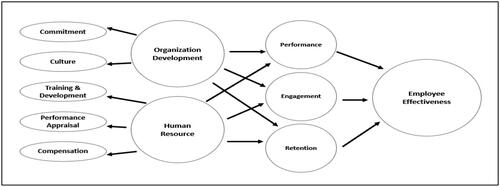 Figure 1. The conceptual framework.