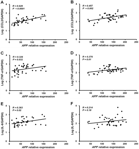 Figure 3. Relative APP gene expression normalized to GAPDH in the SAT correlated with log expression levels of representative adipokines: CCL2 in ND (A) and HFD (B) mice; TNF-α in ND (C) and HFD (D) mice; and IL-2 in ND (E) and HFD (F) mice.