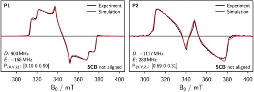 Figure 5. Experimental triplet cw EPR spectrum in unaligned 5CB together with the best fit assuming isotropic alignment for P1 (left) and P2 (right). The simulation parameters are indicated in the figure.