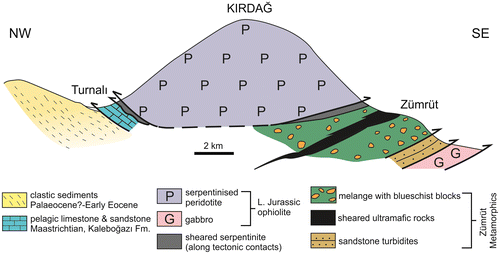 Figure 24. Cross-section of the Kırdağ serpentinised peridotite nappe in relation to underlying units. In the north, a dismembered ophiolite is thrust over Upper Cretaceous pelagic carbonates and Palaeocene?–Early Eocene terrigenous gravity flows (see Figure 25(b)). To the south, the ophiolite is underlain by two contrasting metamorphic units, first, a melange with blocks of HP-LT metamorphic rocks and secondly, a slice of sandstone turbidites. The melange with HP-LT metamorphic rocks includes lenses of metaclastic sediments and sheared ultramafic rocks (see Figure 3; compiled from Konak & Hakyemez, Citation2008a; Konak & Sümengen, Citation2009; Parlak, Çolakoğlu, Citation2013 and this study).