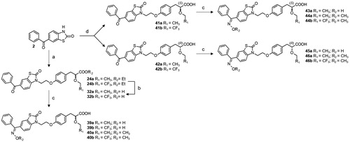 Scheme 4. Synthesis of optically pure and oxime derived PPAR agonists 39–46. Reagents and conditions: (a) K2CO3, 17a or 17 b, DMF, 120 °C; (b) LiOH, THF/H2O, r.t; (c) hydroxylamine hydrochloride or O-methylhydroxylamine hydrochloride, pyridine, reflux; (d) NaH, 21a,b or 22a,b, HMPA, r.t.
