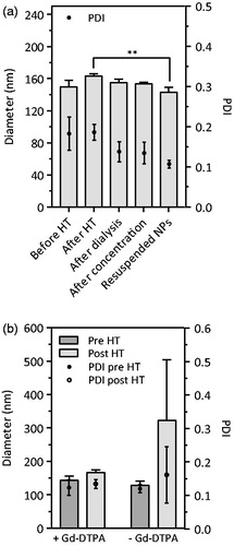 Figure 2. Hydrodynamic diameter and PDI of Gd-DTPA/CaP NPs during the different preparation steps and after reconstitution of the freeze-dried powder (a) and of CaP NPs with and without Gd-DTPA, before and after HT (b). In both graphs, dots refer to PDI values (on right y-axis). Data are expressed as mean ± SD (n = 3), **p<.01 (refers to diameter).