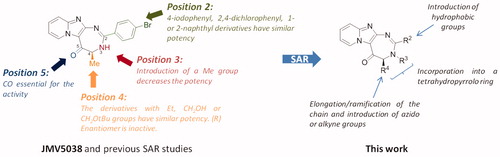 Figure 1. Structure of JMV5038, SAR studies from referencesCitation10 andCitation11 and new studied modulations.