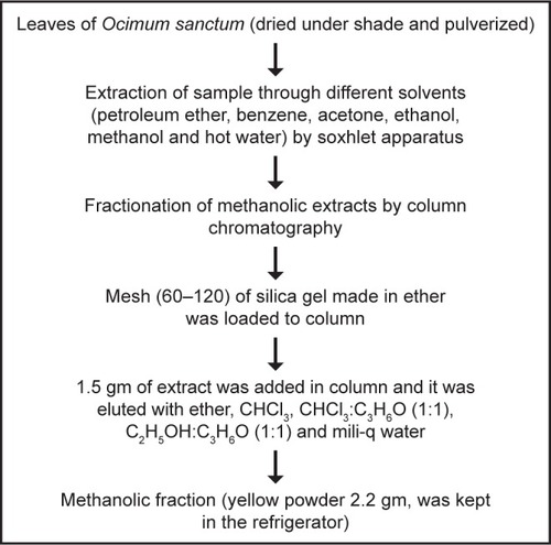 Figure 1 Method for isolating quercetol from O. sanctum.