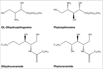 Figure 1. The structures of LCBs and ceramides. Shown are the structures of the LCBs, DL-dihydrosphingosine and phytosphingosine, and the ceramides, dihydroceramide and phytoceramide.