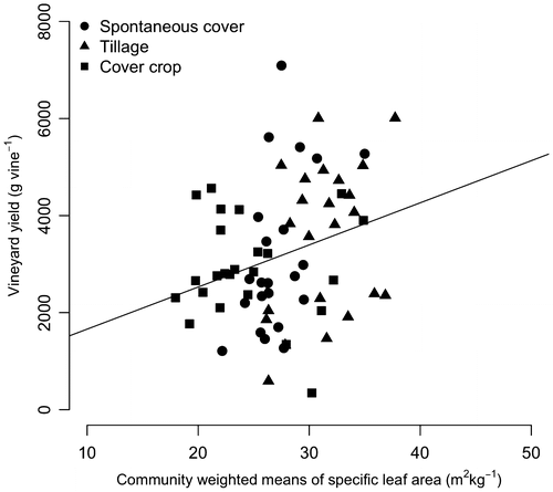 Figure 6. Relationship between communities weighted means of specific leaf area and vineyard yield across the disturbance–competition intensity gradient. Open white circles, tillage treatment communities; black circles, spontaneous vegetation communities; triangles, cover crop communities. Spearman correlation coefficient r = 0.25*. Regression equation: y = 86.79x + 792 (r2 = 0.276).