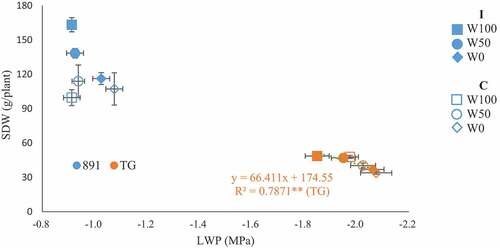 Figure 1. Relationship between midday leaf water potential (LWP) and shoot dry weight (SDW) in pearl millet (891, ICMB89111) and rice (TG, Togo 4) with/without inoculation (I, C) under three irrigation regimes (W100, well-irrigated; W50, half-irrigated; W0, non-irrigated) in 2021. Bars show standard errors. Linear regression was shown where significant at P ≤0.05.