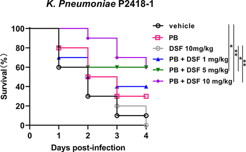Figure 3 DSF enhances the activity of PB in a mouse infection model. The survival rates of mice with pulmonary infection (n = 10) are shown. Specifically, the survival rates of BALB/c mice 7 d after a single dose of 1.0×107 colony-forming units (CFUs) of PB-resistant K. pneumoniae (P2418-1, MIC = 16 μg/mL) were determined. The survival rates increased after treatment with PB alone (0.2 mg/kg) or in combination with DSF (1, 5 and 10 mg/kg). *P < 0.05, **P < 0.01.