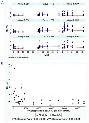 Figure 4. Serum IgG ELISA responses to r85A, MVA and FP9. (A) Longitudinal r85A IgG, FP9 IgG and MVA IgG responses detected by ELISA Each dot represents an individual subjects’ response and median responses are connected by lines. Group 1 = FP85A vaccination week 0; Group 2 = MVA85A vaccination week 0, FP85A vaccination week four; Group 3 = FP85A vaccination week 0, MVA85A vaccination week four. Anti-vector antibody responses were generally stronger than antigen-specific anti-85A IgG responses. In Group 1, FP85A vaccination induced an FP9 IgG response, but no MVA IgG antibodies. In Group 2, MVA85A vaccination induced FP9 IgG and MVA IgG responses. Subsequent FP85A vaccination boosted the FP9 IgG response but did not boost the MVA IgG response. In Group 3, MVA85A vaccination induced an MVA IgG response, but did not boost the FP9 IgG response to prior FP85A vaccination. (B) Correlation between FP9 IgG and MVA IgG levels detectable by ELISA at the time of MVA85A vaccination and IFNγ ELISpot responses to antigen 85A one week after MVA85A vaccination. Each dot represents an individual subjects’ responses. Pre-vaccination responses were from the day of MVA85A vaccination (Group 2 = week 0; Group 3 = week four). Post-vaccination responses were from samples taken after MVA5A vaccination (Group 2 = week four; Group 3 = week 12). Circles = FP9 IgG levels; diamonds = MVA IgG levels. There were trends toward negative correlations between pre-MVA85A FP9 and MVA IgG levels and post-MVA85A IFNγ ELISpot responses to single pool 85A in Groups 2 and 3.