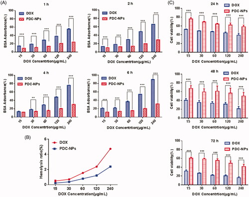 Figure 2. (A) BSA adsorption on free DOX and the PDC-NPs at 1 h, 2 h, 4 h and 6 h. (B) Percentage of red blood cell hemolysis incubated with free DOX and the PDC-NPs. (C) In vitro cell viability toward endothelial cells incubated with free DOX and the PDC-NPs at 24 h, 48 h and 72 h (*p < .05, **p < .01, ***p < .001, n = 3).