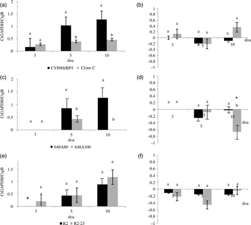 Figure 1.  Replication in the lung of HP vaccines (CVI988-BP5, 648A80, and R2) versus LP vaccines (Clone C, 648A100, and R2-23). DNA load of serotype 1 MDV vaccines was evaluated by real-time PCR. Results expressed as the relative Ct ratio of the amplification of the chicken GAPDH gene and the MDV gB (see Materials and Methods). Results are presented as the mean and the standard error. 1a: Load of DNA of CVI988/BP5 and Clone C in the lung at 3, 5, and 10 days of age (doa). 1b: Load of viral DNA in the lung relative to the load of viral DNA in the spleen (load of viral DNA in the lung – load of viral DNA in the spleen) for serotype 1 MDV vaccines CVI988/BP5 and Clone C. 1c: Load of DNA of 648A80 and 648A100 in the lung at 3, 5, and 10 doa. 1d: Load of viral DNA in the lung relative to the load of viral DNA in the spleen for serotype 1 MDV vaccines 648A80 and 648A100. 1e: Load of DNA of R2 and R2-23 in the lung at 3, 5, and 10 doa. 1f: Load of viral DNA in the lung relative to the load of viral DNA in spleen for serotype 1 MDV vaccines R2 and R2-23. Same letter above the bar indicates no statistically significant differences were detected between the members of each pair(P < 0.05). *Statistically significant differences between the load of vaccine DNA in the lung and in the spleen.