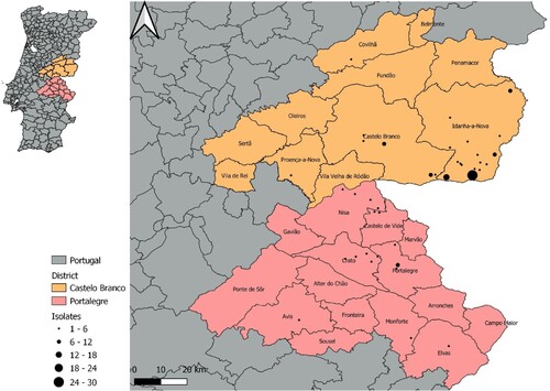 Figure 1. Geographical location of the Eu2 Mycobacterium bovis isolates from this study, within the central-east animal TB hotspot area in Portugal.