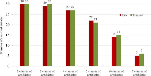 Figure 2 Frequency of multidrug-resistant S. aureus (MRSA and MSSA) isolates in raw (n=30) and treated (n=30) sewage samples.