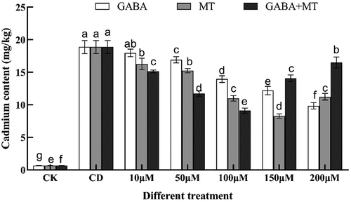 Figure 7. Effects of exogenous γ-aminobutyric acid, melatonin and their combination on Cd content of tomato shoots under cadmium stress. (CK, the control; CD, 100 µM Cd; 10, 50, 100, 150, 200 µM, repent the tomato seedlings treatment with GABA, MT and GABA plus MT at 10, 50, 100, 150 and 200 μM, respectively, in the presence of 100 μM Cd). The data shown are the averages of three replicates, with the standard errors indicated by the vertical bars. The means denoted by the same letter do not significantly differ at a P < 0.05.