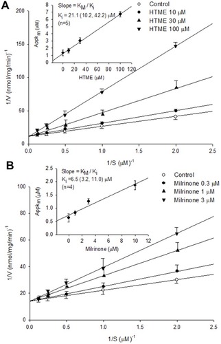 Figure 2 Inhibition of PDE3-induced cAMP hydrolysis by HTME (A) and milrinone (B). Activities of PDE3 in the presence of various concentrations of HTME or milrinone, and the substrate (cAMP) were plotted according to a Lineweaver–Burk analysis. Ki was determined from the equation of the apparent Km as a function of the inhibitor concentration (inset).