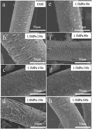 Figure 7. SEM images (х800) of goat hair (a) before and (b) ~ (h) after being steam exploded under different conditions.