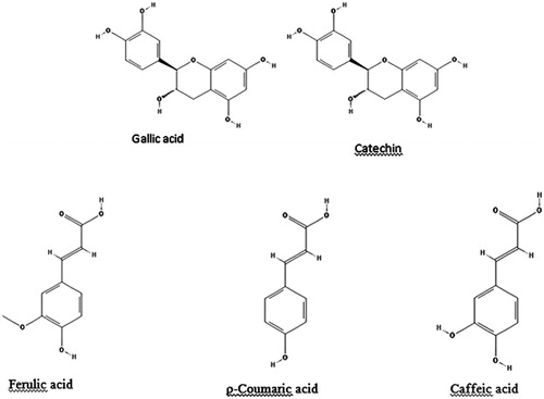 Figure 7. Chemical structures of the phenolic compounds that are quantified by HPLC for standardization of the extract from T. graminifolius.