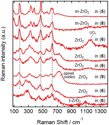 Figure 8. Representative some examples of nonaveraged (single-point) spectra assignable to ZrO2 components observed in the 5, 6, 8, and 9 U-SUS-Zr debris.