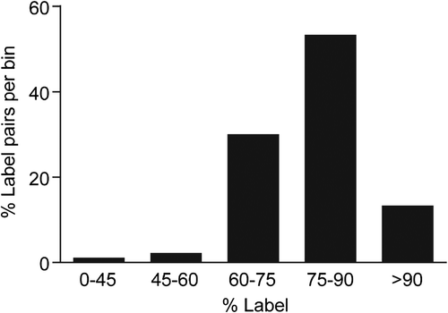 Figure 3. In vivo heavy isotope labeling of proteins measured in ventral tegmental (VTA). Percent heavy label incorporation for labeled-pairs from 13C615N2-lysine–labeled F1 generation rat ventral tegmental tissue taken at 7 weeks post weaning. These data were calculated from raw MS labeled-pair intensities (N = 297 labeled-pairs with intensity ≥ 1E5) with median %Incorporation (μ1/2) = 76.9%. Heavy label incorporation calculations predicted > 100% incorporation for 22 labeled-pairs (average: 108%), demonstrating a small contribution of error to labeled-pair ratio calculations likely from mixing and changes in isotopic distributions between heavy and light amino acid–containing peptides.