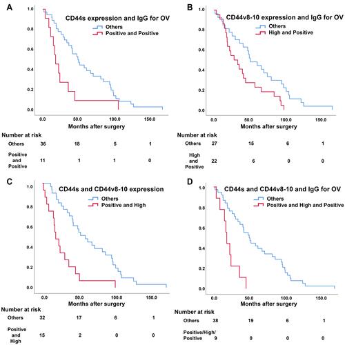 Figure 3 Kaplan–Meier analysis of overall survival with a combination of serum IgG for OV and IHC results in early stage CCA. (A) Survival with a combination of CD44s and IgG for OV. (B) Survival with a combination of CD44v8-10 and IgG for OV. (C) Survival with a combination of CD44s and CD44v8-10. (D) Survival with a combination of CD44s, CD44v8-10 and IgG for OV.