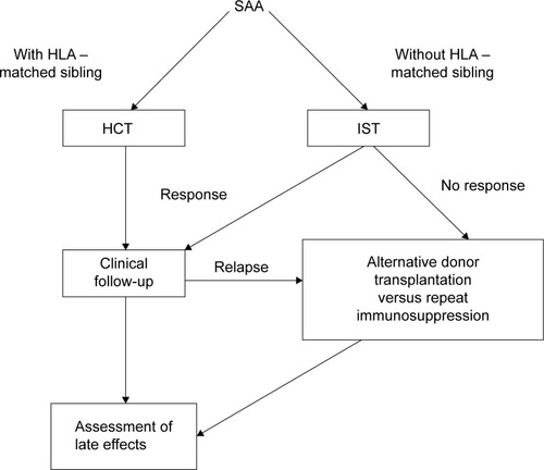 Figure 4 Treatment schema of SAA.