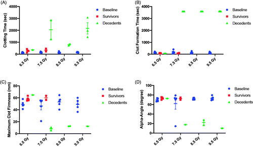 Figure 5. Evaluation of clotting parameters using rotational thromboelastometry (ROTEM) performed on whole blood at baseline and at the time of scheduled or unscheduled euthanasia. (A) Among animals expiring prior to the 45-day study endpoint (e.g. decedents), clotting time was severely prolonged in comparison to baseline draws. Clotting times among 45-day survivors at 6.5 and 7.5 Gy was slightly longer compared to baseline but did not reach statistical significance (paired t-test, p > .05). (B) No significance differences were observed in clot formation time between 45-day survivors and baseline values. In contrast, blood drawn from decedents at 7.5 to 9.5 Gy was unable to clot. In this graph, 3600 s was used to represent a 60 min run without clot formation. (C) 45-day survivors showed a trend towards increased maximum clot firmness suggesting stronger clot formation at the scheduled study endpoint compared to baseline, although this did not reach significance (p > .05). In contrast, maximum clot firmness among decedents, when evaluable, was severely reduced. Maximum clot firmness was not reported in all decedents due to platelet deficiency. (D) The alpha-angle was similar among all subjects at baseline except for one outlier in the 7.5 Gy TBI cohort. The outlier in the 7.5 Gy arm was consistently lower than for all other animals over three blood draws on separate days. 45-day survivors presented with a similar alpha-angle as the baseline values. In decedents at 7.5 to 9.5 Gy, a decrease in the alpha angle was noted.