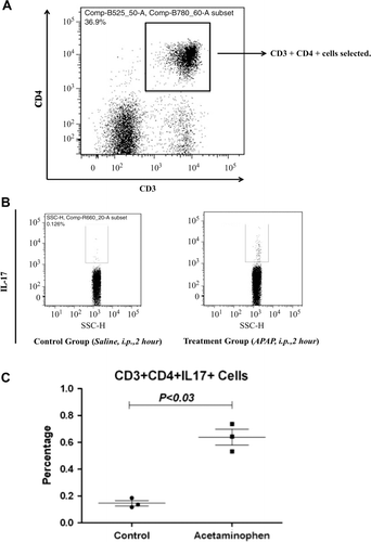 Figure 3.  APAP treatment increased levels of IL-17-producing CD4+ T-cells in the liver after 2 h. (a) CD3 and CD4 double-positive cells were gated for further analysis. (b) Example of IL-17 expression compared between control and treatment animals; the x-axis is side scatter (SSC). (c) Percentage of CD4+IL-17+ T-cells in the liver 2 h after APAP treatment compared with controls. Results shown are the mean (± SE) from three mice. Similar results were obtained in three independent experiments (p < 0.03).