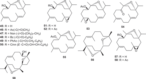 Figure 4. Structures of compounds 45–59.