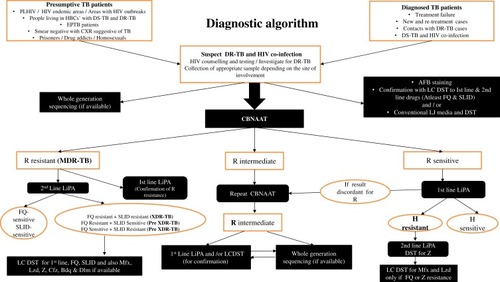 Figure 1 Algorithm for diagnosis of drug-resistant tuberculosis in people living with HIV.