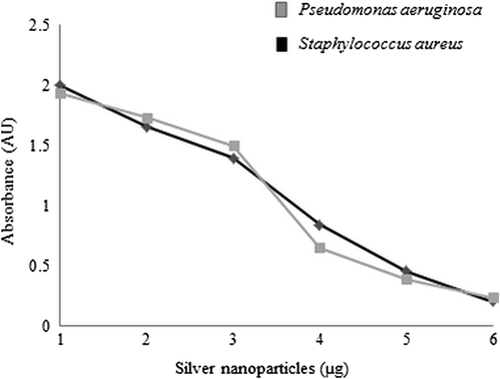 Figure 6. Biofilm inhibition activity of silver nanoparticles against Staphylococcus aureus [ATCC 6538] and Pseudomonas aeruginosa [ATCC 27853].