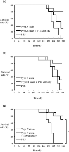 Figure 9. Effect of antisera raised against each rFimA protein type on silkworm larvae infected with P. gulae strains. Larvae (n = 10) were injected with a 50 μl suspension of P. gulae (5 × 107 CFU) type A strain ATCC51700 (a), type B strain D040 (b), or type C strain (c), and were incubated at 37°C. The survival rate was recorded at the time points indicated. PBS was used as a negative control. Data are representative of three independent experiments. Survival rates in the silkworm larvae in each group were evaluated with a Kaplan-Meier plot, which was analyzed by a log-rank test. *P < 0.001