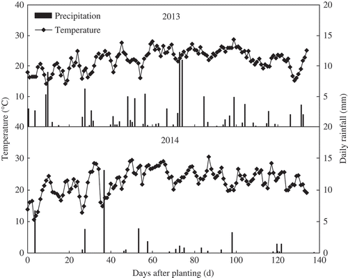 Figure 1. Daily mean temperatures and rainfall during the cotton (Gossypium hirsutum L.) growing season in 2013 and 2014.