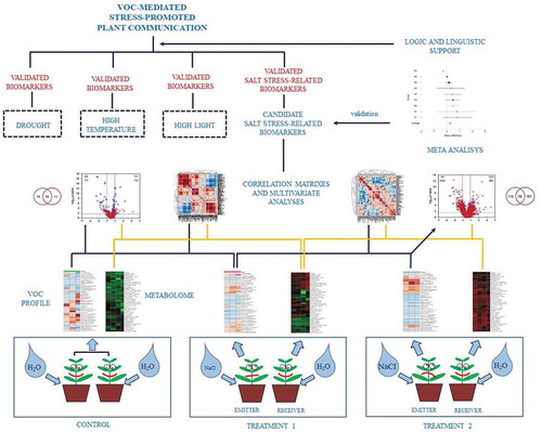 Figure 3. An experimental approach to describe volatile organic compound (VOC)-mediated plant communication under abiotic stress conditions. The correlation between the volatilome of emitter plants and the metabolome in receiver plants allows describing possible biochemical markers of particular abiotic stress. By imposing different abiotic stresses on the same species, it would be possible to obtain stress-specific quantitative markers from the association of changes in emitter’s VOCs and receiver’s metabolites. The interaction of different abiotic stress factors could be used to develop an integrated model of plant communication