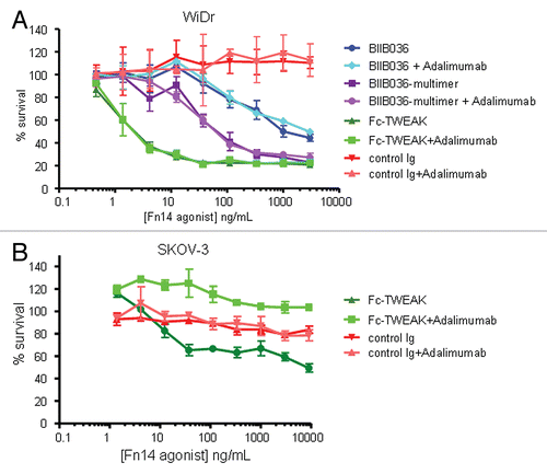 Figure 6 Cell killing in multiple tumor cell lines is TNF independent. MTT assays in (A) WiDr cells and (B) SKOV-3 cells were performed in the presence or absence of the anti-TNF inhibitor, Adalimumab (500 pM). Cell survival is plotted as a function of concentration of Fc-TWEAK, BIIB036-multimer or BIIB036. Only in SKOV-3 cells, but not in WiDr cells, is tumor cell killing inhibited in the presence of Adalimumab.