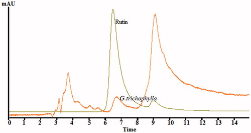 Figure 7. HPLC chromatograph of G. trichophylla chloroform extract and rutin at 360 nm.