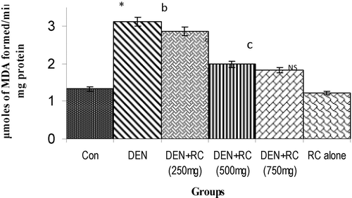 Figure 2.  Effect of RC on levels of hydroxyl radicals. Values are expressed as mean ± SD for six animals. Hydroxyl radicals are expressed as ng/mg protein in the liver tissue homogenate of control and experimental groups of rats. Control vs. DEN *P < 0.001, yP < 0.01, xP < 0.05. DEN vs. DEN + RC cP < 0.001, bP < 0.01, aP < 0.05. RC alone vs. Control. NS, Non-significant.