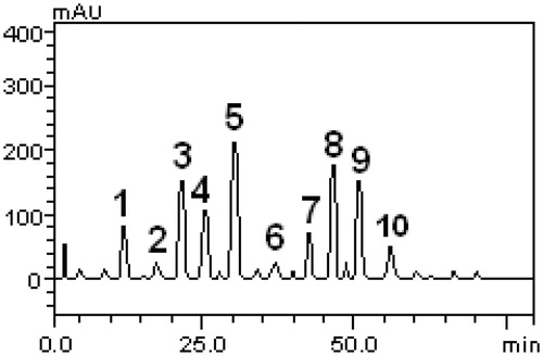 Figure 1. High performance liquid chromatography showing phenolic and flavonoid profile of Murraya paniculata. Gallic acid (peak 1), catechin (peak 2), chlorogenic acid (peak 3), caffeic acid (peak 4), ellagic acid (peak 5), epicatechin (peak 6), rutin (peak 7), quercitrin (peak 8), quercetin (peak 9), and kaempferol (peak 10).