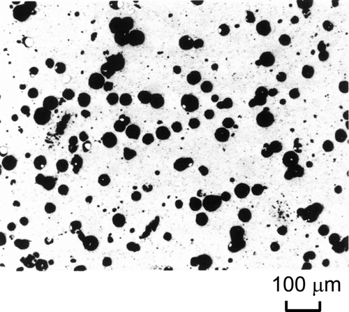 Figure 3. Microstructure of SIMDEBRIS (density: 8.2 g/cm3, porosity: 18–23%).