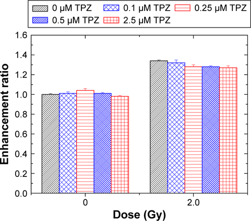 Figure S3 The enhancement ratio of hydroxyl radical production induced by tirapazamine under X-ray irradiation.Abbreviation: TPZ, tirapazamine.