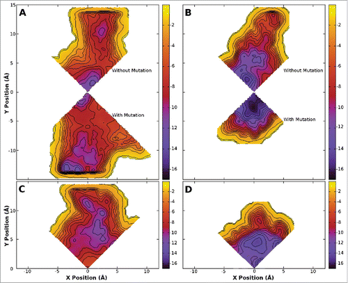 Figure 3. Free energy surfaces obtained from metadynamics simulation for the 1S (800 ns - A and B) and 4S systems (400 ns - C and D) in the presence of benzocaine (A and C) and phenytoin (B and D). The surfaces are integrated onto a 2D surface and viewed looking down the axis of the pore from the extracellular space. Two quadrants are shown for the 1S systems where the upper quadrant was obtained opposite to the site of the mutation and the lower quadrant was obtained at the site of the mutation. A single quadrant is shown for the 4S systems as the mutations introduced into each subunit maintain the 4 fold symmetry of the protein. Contours are shown every 1 kcal/mol. The full pore forming domain of NavAb (residues 115–221) was used in these simulations.