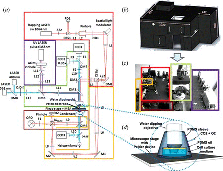 Figure 2 Schematic and physical optical layout of the instrument (color figure available online).